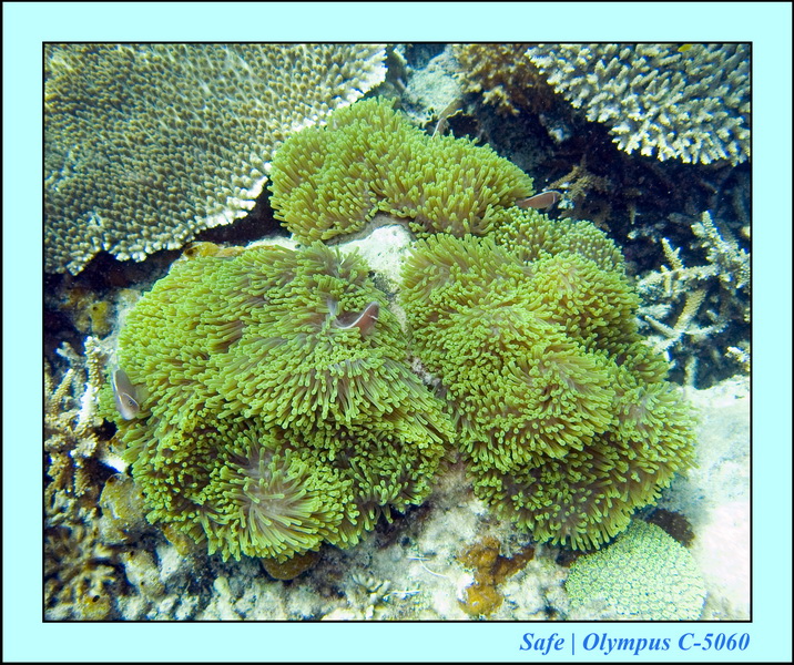 2008 - 07 - Leng Tengah - 068